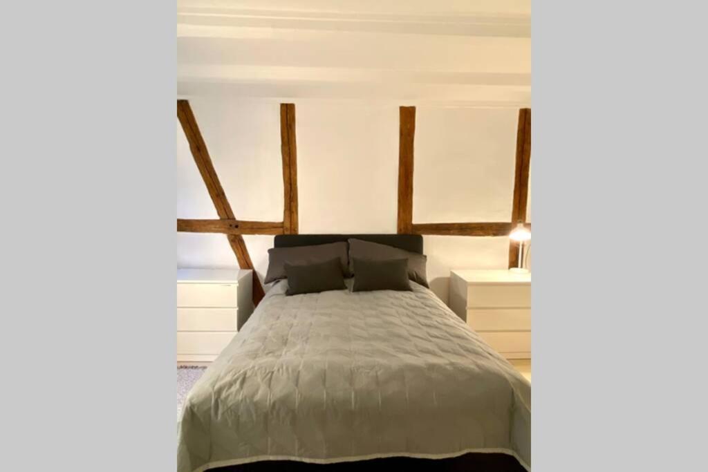 Appartement Luxury 'Kings Garden' City-Flat In Center Of Town à Copenhague Extérieur photo