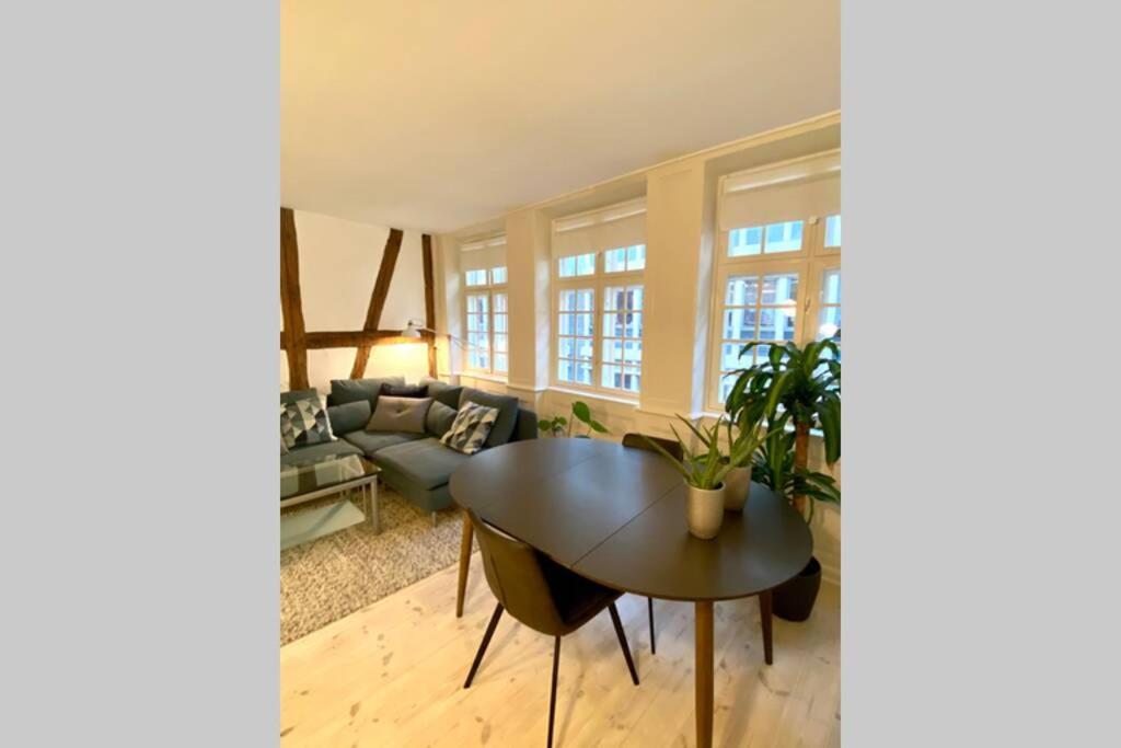 Appartement Luxury 'Kings Garden' City-Flat In Center Of Town à Copenhague Extérieur photo